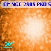 Cl* NGC 2808    PKD   50371