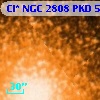 Cl* NGC 2808    PKD   55031