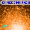 Cl* NGC 2808    PKD   55627