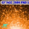 Cl* NGC 2808    PKD   56136