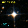HD  74239