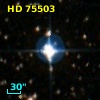 HD  75503