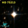 HD  75213