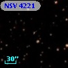 NSV  4221