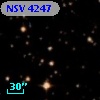 NSV  4247