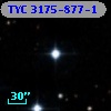 TYC 3175-877-1