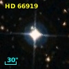 HD  66919