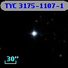 TYC 3175-1107-1