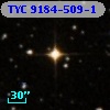 TYC 9184-509-1