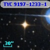 TYC 9197-1233-1