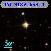 TYC 9187-653-1
