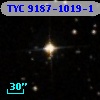 TYC 9187-1019-1