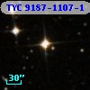 TYC 9187-1107-1