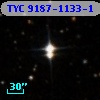 TYC 9187-1133-1