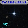 TYC 9187-1301-1