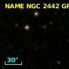 NAME NGC 2442 GROUP