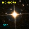 HD  49079