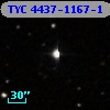 TYC 4437-1167-1