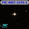 TYC 4437-1274-1