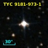TYC 9181-973-1