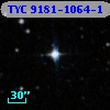 TYC 9181-1064-1