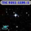 TYC 9181-1198-1