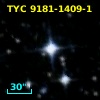 TYC 9181-1409-1