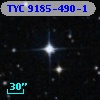TYC 9185-490-1