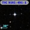 TYC 9185-491-1