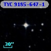 TYC 9185-647-1