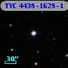 TYC 4438-1628-1
