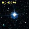 HD  43770
