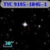 TYC 9185-1045-1