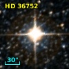 HD  36752
