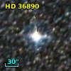 LTT  2294