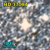 HD  37084