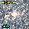 HD  37180