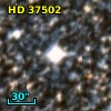 HD  37502