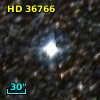 HD  36766