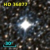 HD  36877