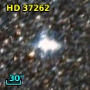 HD  37262