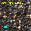 SV* HV 12667