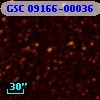 GSC 09166-00036