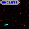 HD 269555