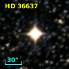 HD  36637