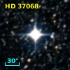 HD  37068