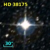 HD  38175