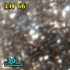 LH  66