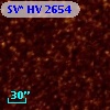 SV* HV  2654