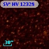 SV* HV 12328